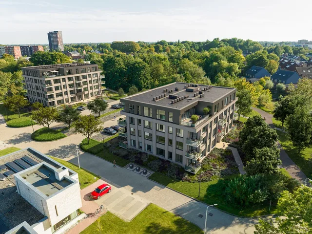 Dorhoutstraat 25