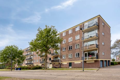 Maassingel 234