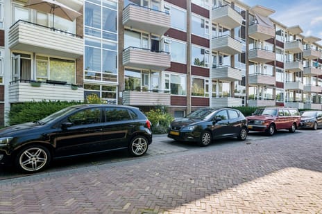 Adriaan van Ostadestraat 75