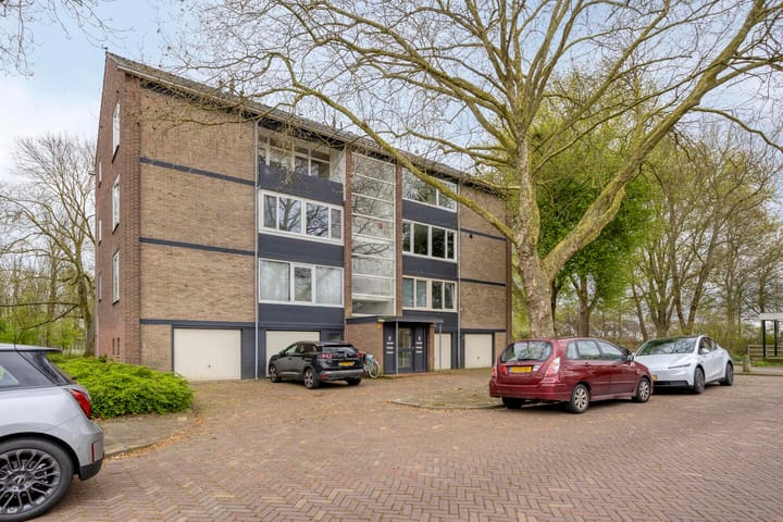 Tesselschadelaan 54