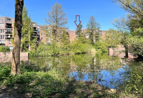 Leerdamhof 393