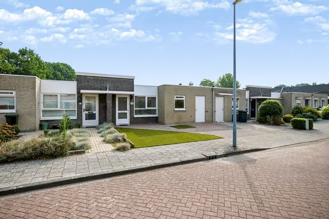 Plevier 17