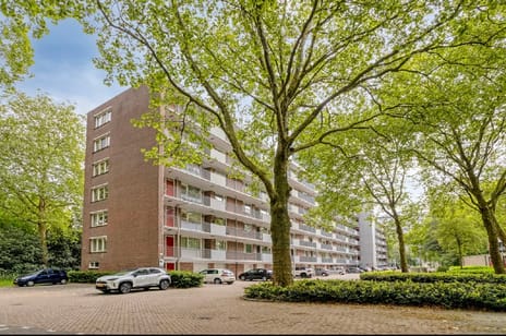 Cederstraat 31