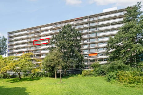 Bergmolen 54