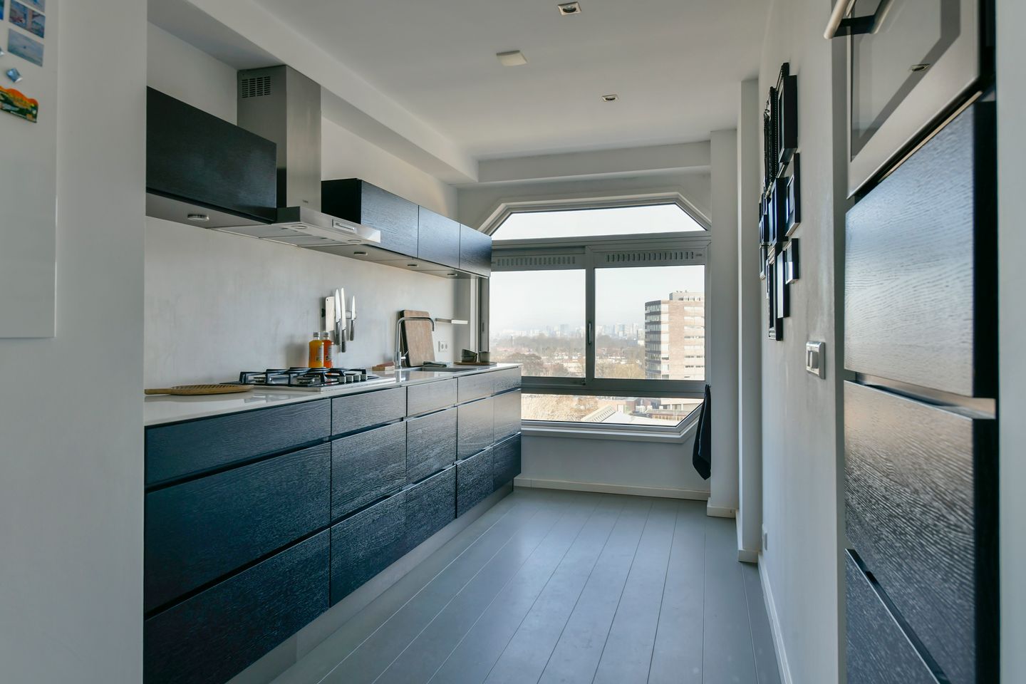 Meander 81