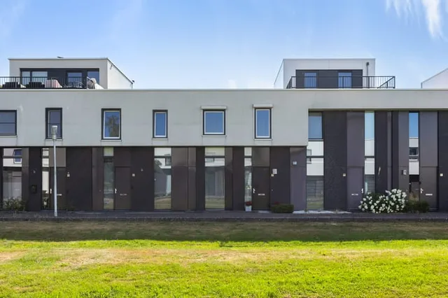 Vuurvlinder 44