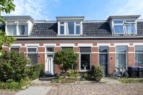 Steijnstraat 13