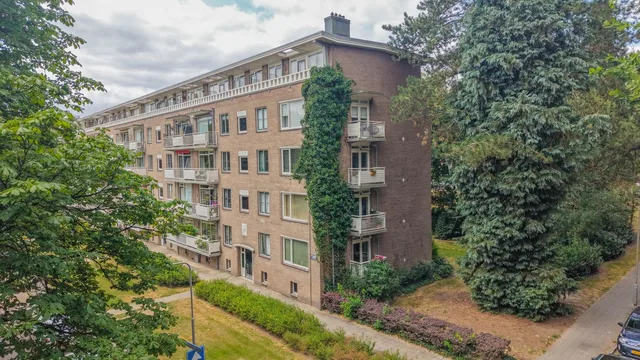 Lippe Biesterfeldstraat 39-3