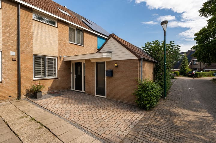 Goudse Steen 29
