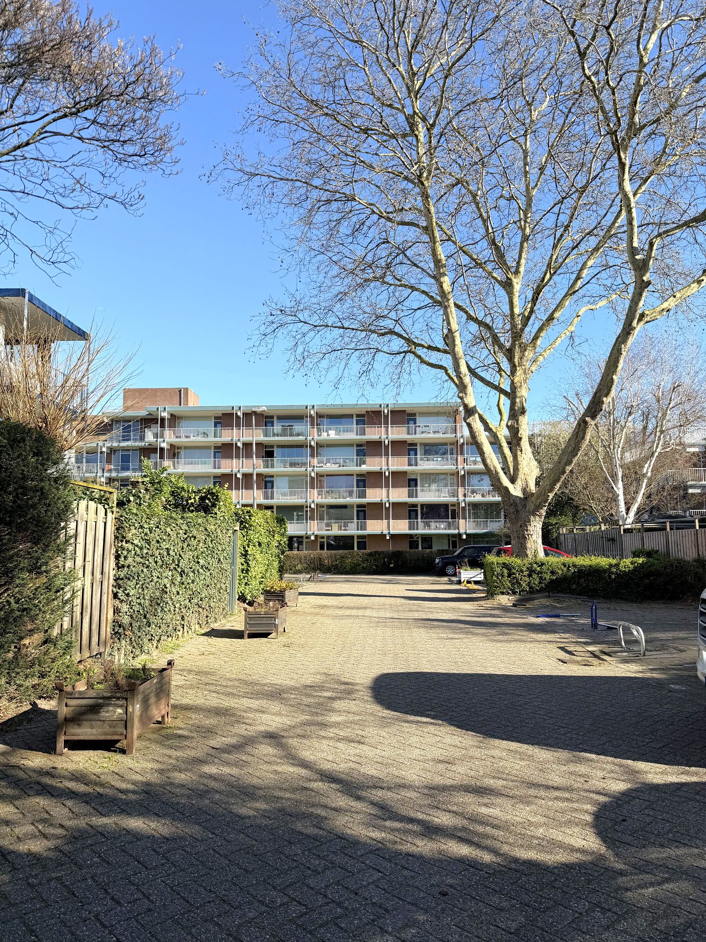 Bellevuestraat