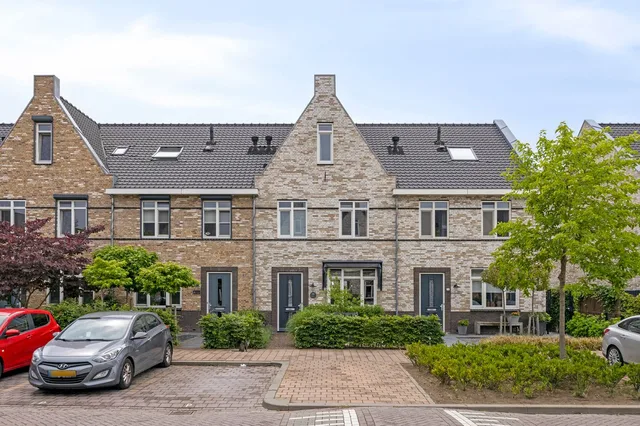Aalscholver 18