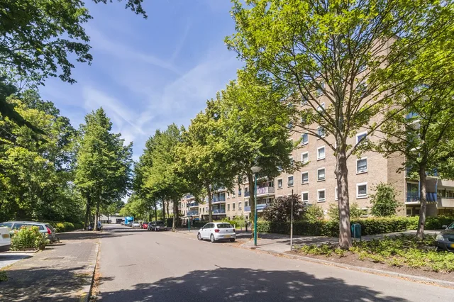 Aert van Neslaan 311