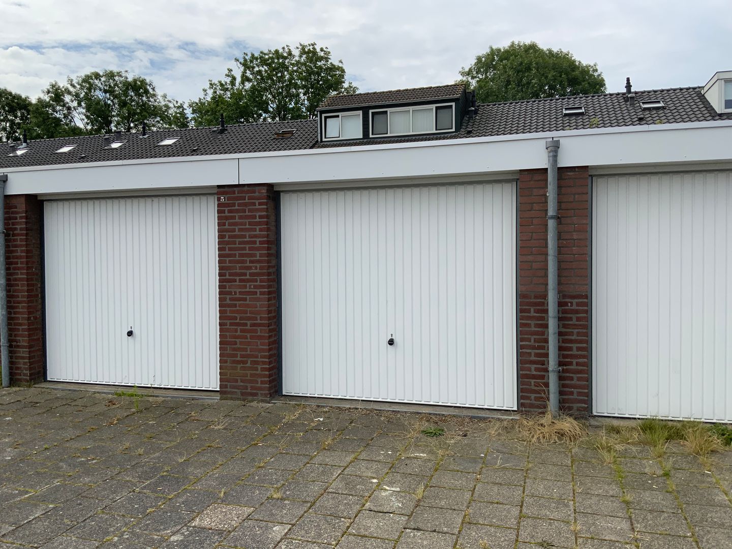 Waterhoenstraat
