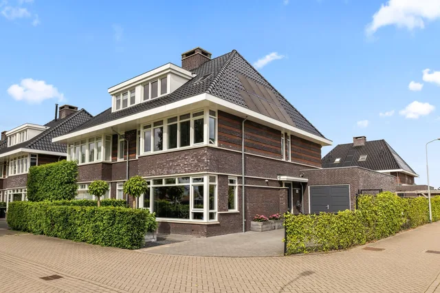 Grote Vuurvlinder 3