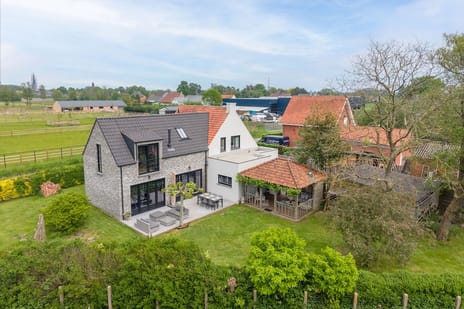 Grote Vond 3