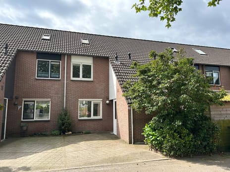 Goudvink 26