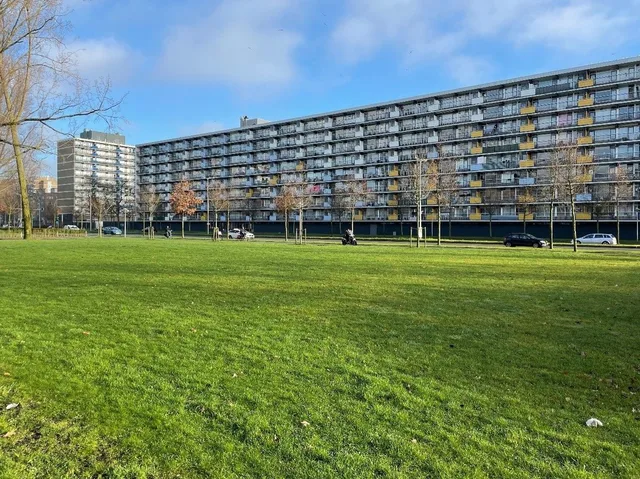 Briljantstraat 310