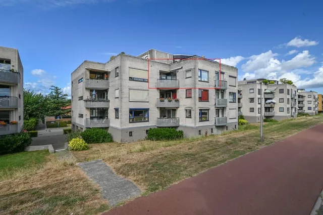 Sterrekruid 73
