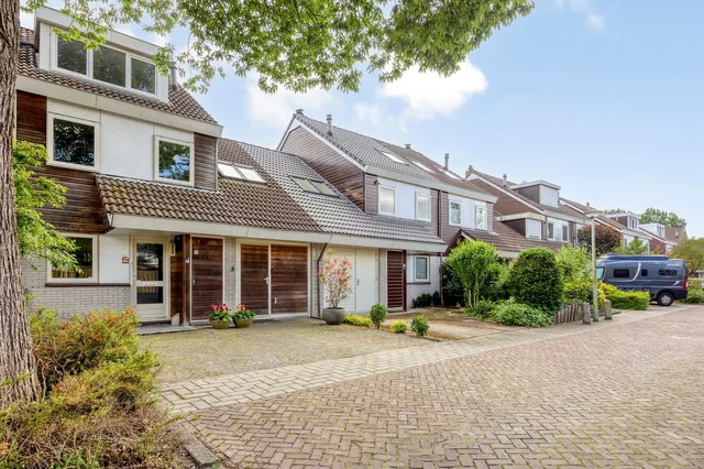 Chirurgijn 19