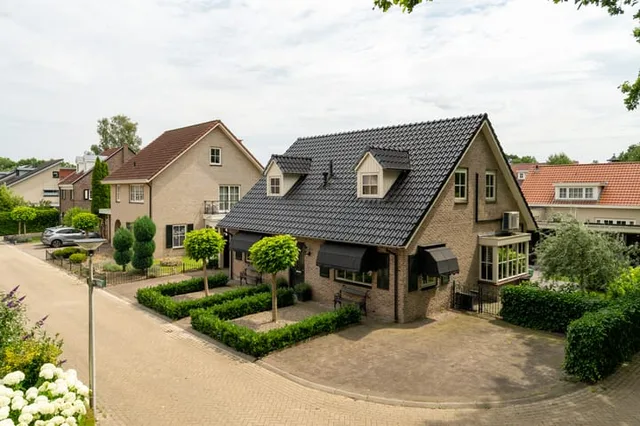 Distelvlinder 2