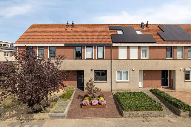 Grauwe Gans 62