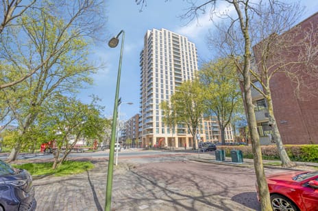 Randveen 594