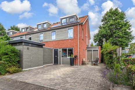 Blauw Glidkruid 35