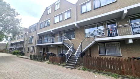 Rhijnauwensingel 17