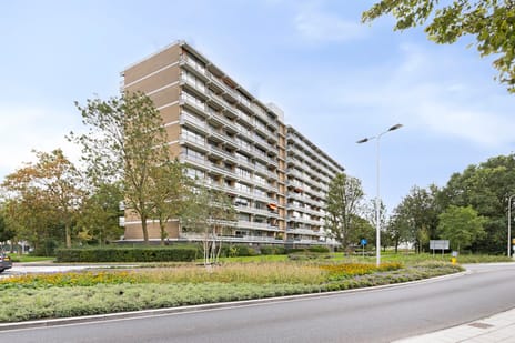 Seringenplantsoen 565
