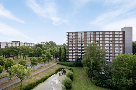 Antwerpenstraat 212