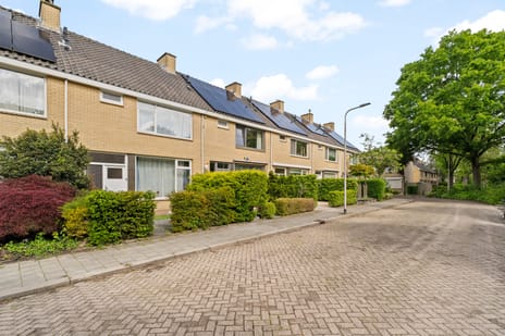 IJsselstraat 38