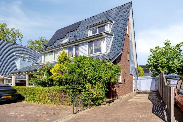 Rijsbes 97