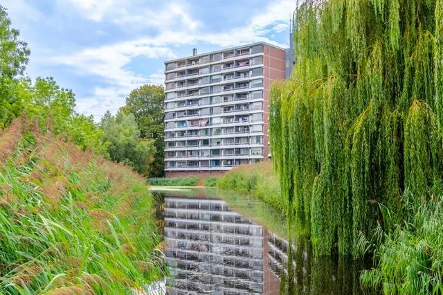 Zuiderkruis 452