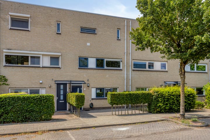 Grote Vos 7