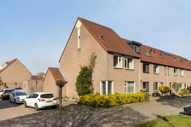 Goudplevier 14