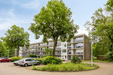 De Reiger 193