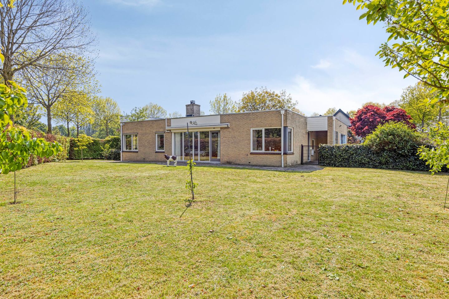Zilverschoon 1