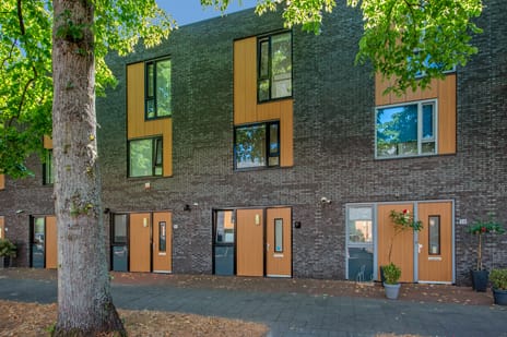 Windesheimstraat 36