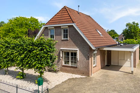 Goudplevier 2