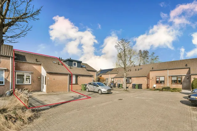Zilverschoon 9