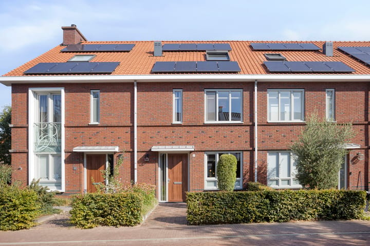 Bosveen 20