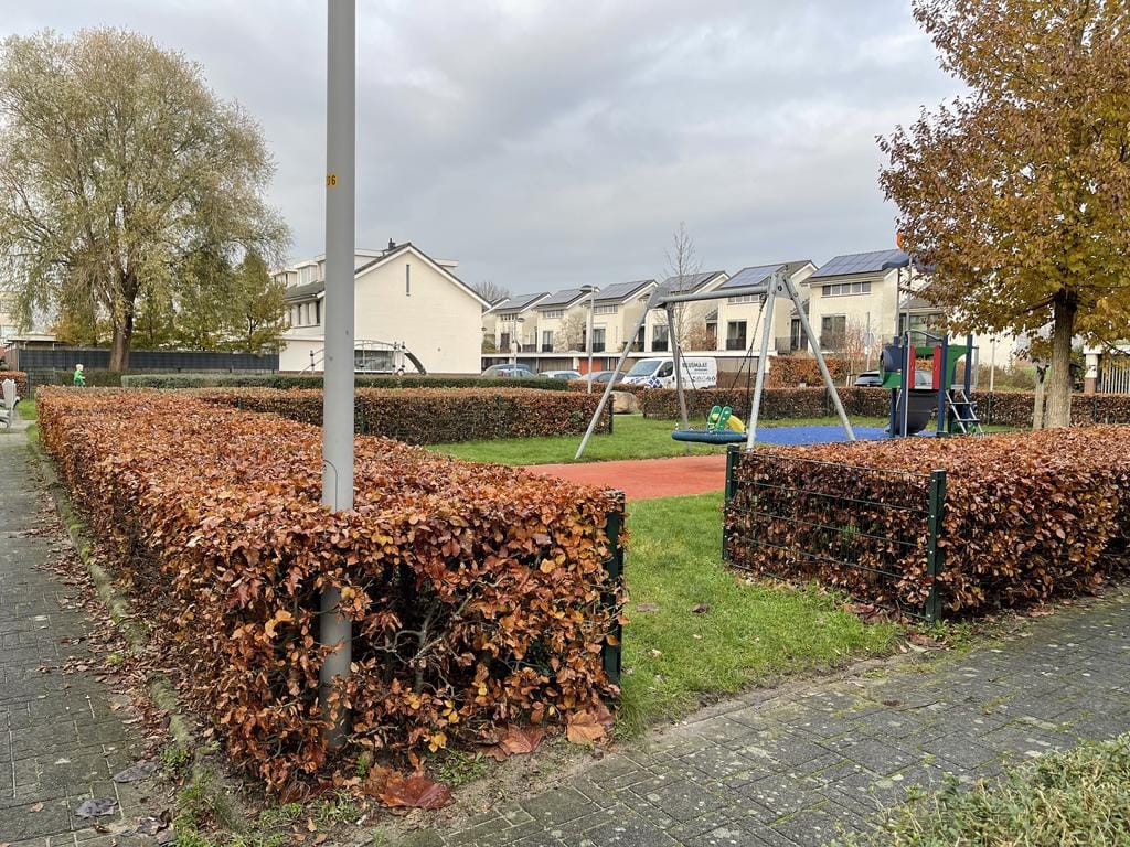 Wielerbaan 36