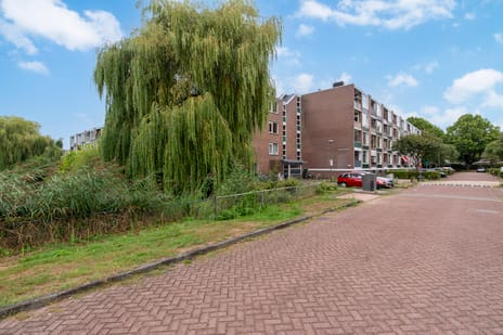 Zonnebloemstraat (Bouwnr. 118)