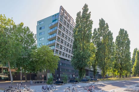 Rietlandterras 30