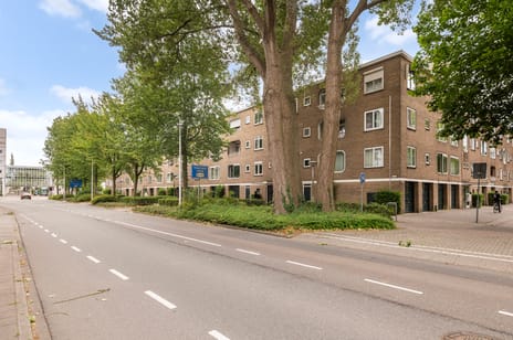 Meander 901