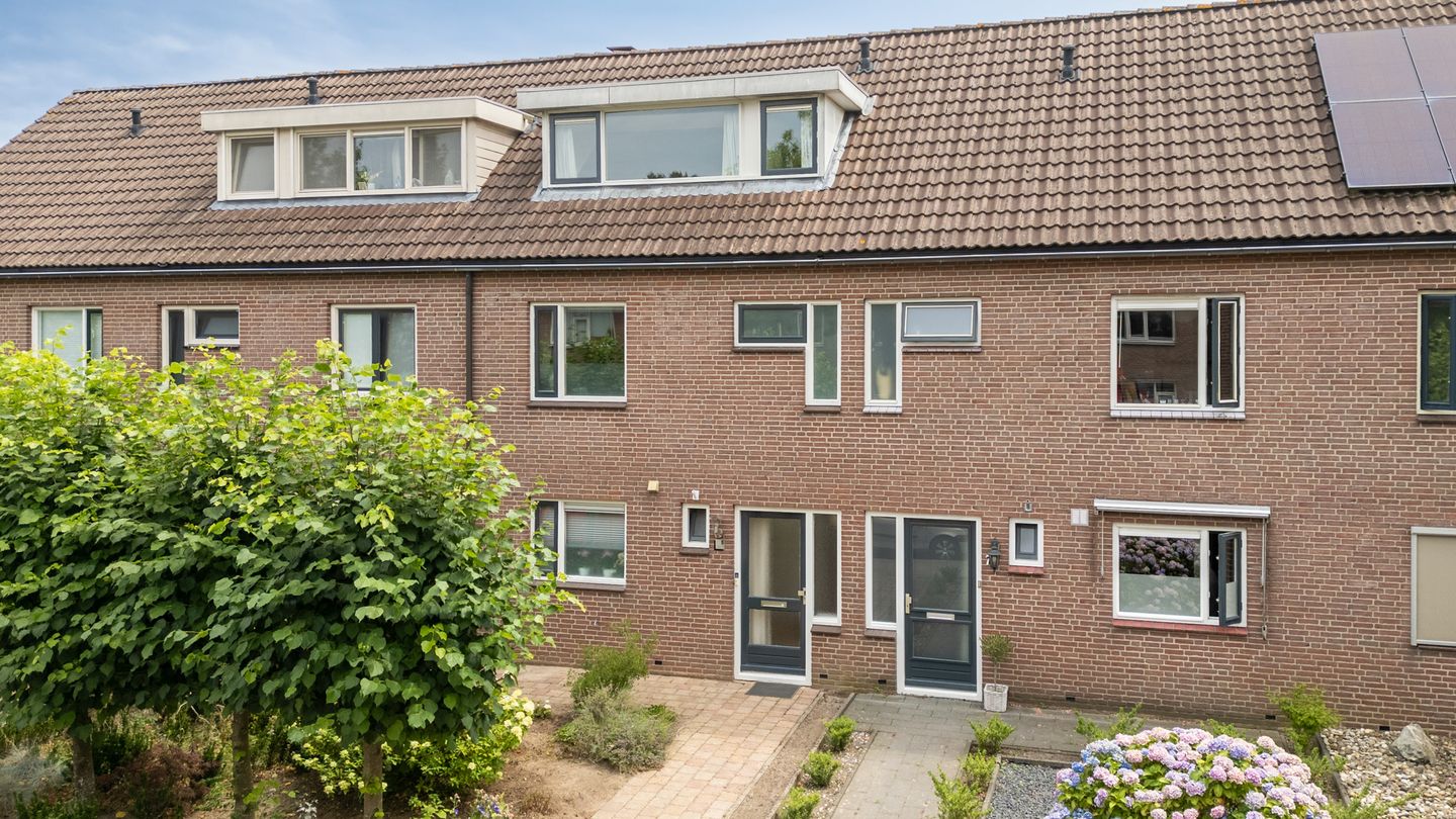 Lange Griet 5