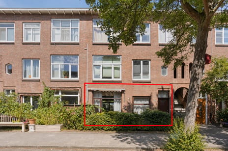Ligusterstraat 35