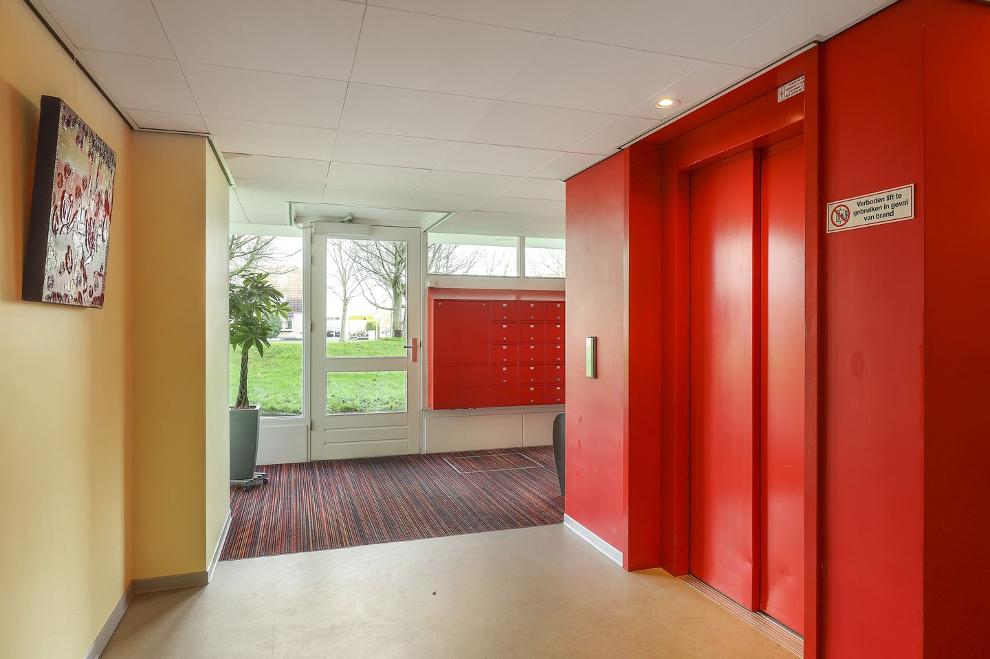 Smeetsmastins 138