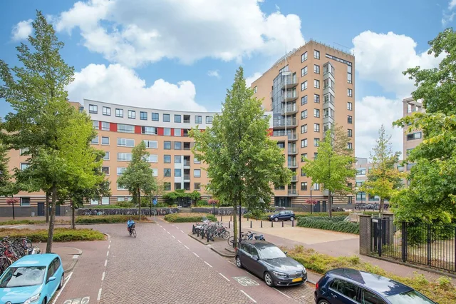 Henriëtte Roland Holststraat 66