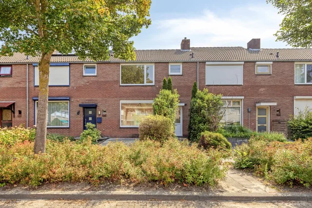 van der Waalsstraat 41